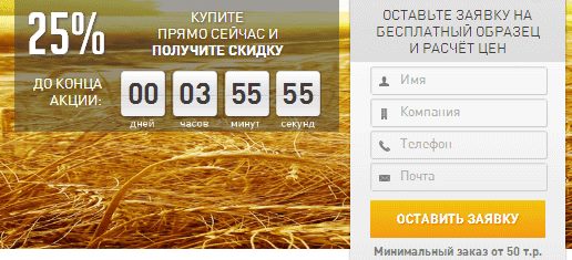 Пример использования таймера на лендинге Пример использования таймера на лендинге