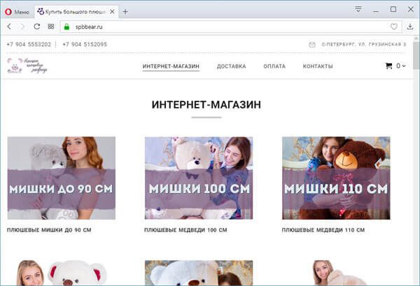 Интернет-магазин на конструкторе NetHouse Интернет-магазин на конструкторе NetHouse