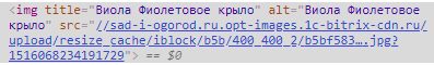 Заполненный атрибут Title для картинок Заполненный атрибут Title для картинок