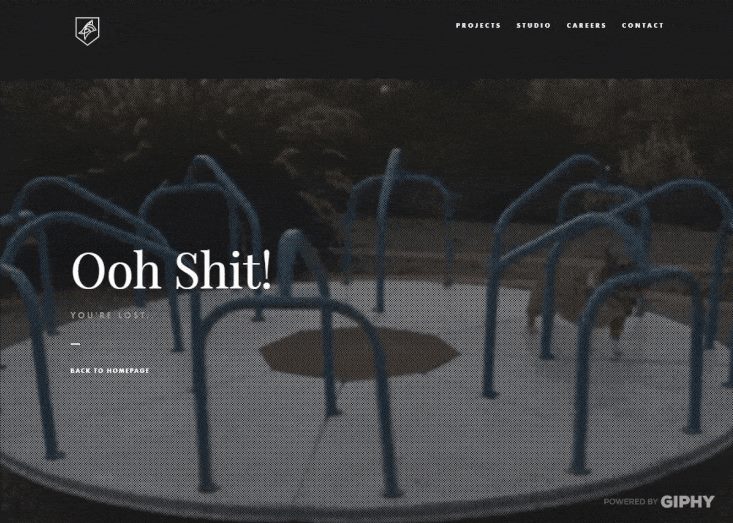 404 страница Dogstudio